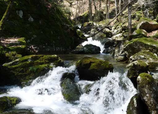 ΚΑΛΛΙΠΕΥΚΗ_ΝΕΡΑ