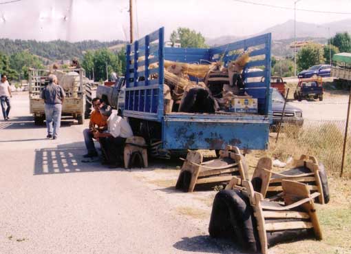 ΚΑΛΛΙΠΕΥΚΗ_ΠΑΖΑΡΙ_ΕΛΑΣΣΟΝΑΣ