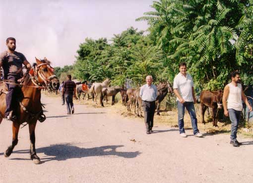 ΚΑΛΛΙΠΕΥΚΗ_ΠΑΖΑΡΙ_ΕΛΑΣΣΟΝΑΣ_2