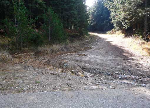 004_Δ_ΚΑΛΛΙΠΕΥΚΗ_ΔΡΟΜΟΣ_ΠΑΤΩΜΕΝΗ