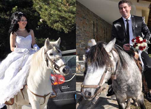 007_Δ_ΚΑΛΛΙΠΕΥΚΗ_ΔΙΑΦΟΡΑ_ΓΑΜΟΣ_ΑΛ_3