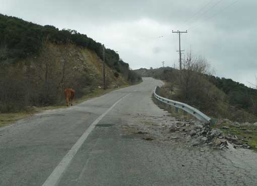 Δ_ΚΑΛΛΙΠΕΥΚΗ_ΔΡΟΜΟΣ_Γ