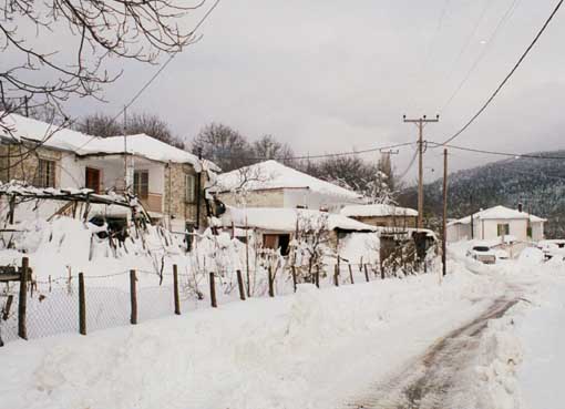 ΚΑΛΛΙΠΕΥΚΗ_ΧΙΟΝΙΑ