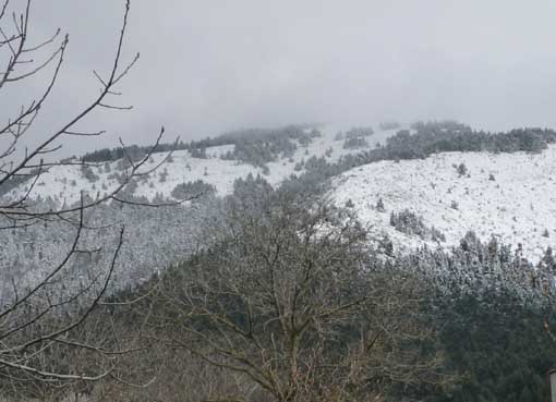 ΚΑΛΛΙΠΕΥΚΗ_ΧΙΟΝΙΑ_18-4