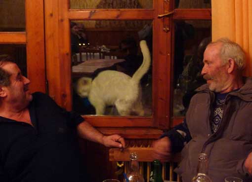 Σ_ΚΑΛΛΙΠΕΥΚΗ_ΓΑΤΙ_2