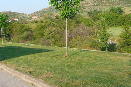 002_ΔΙΜΗΝΟ_ΠΑΡΤΕΡΙ_ΓΟΝΝΟΙ