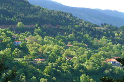 003_ΔΙΜΗΝΟ_ΣΚΟΤΙΝΑ