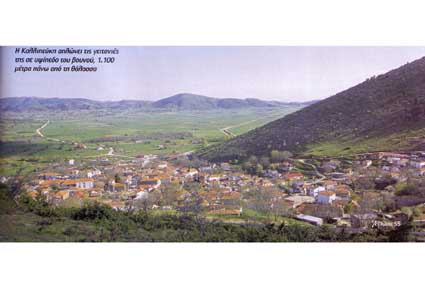 005_KALLIPEFKI_GEOTROPIO