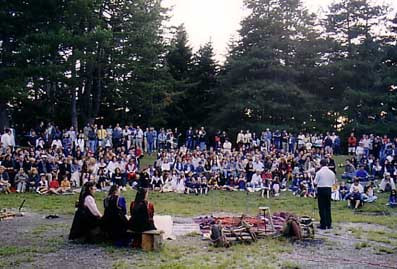dimino afigisi