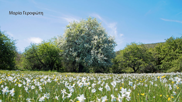 Γεροφωτη Μαρια 1 (1)